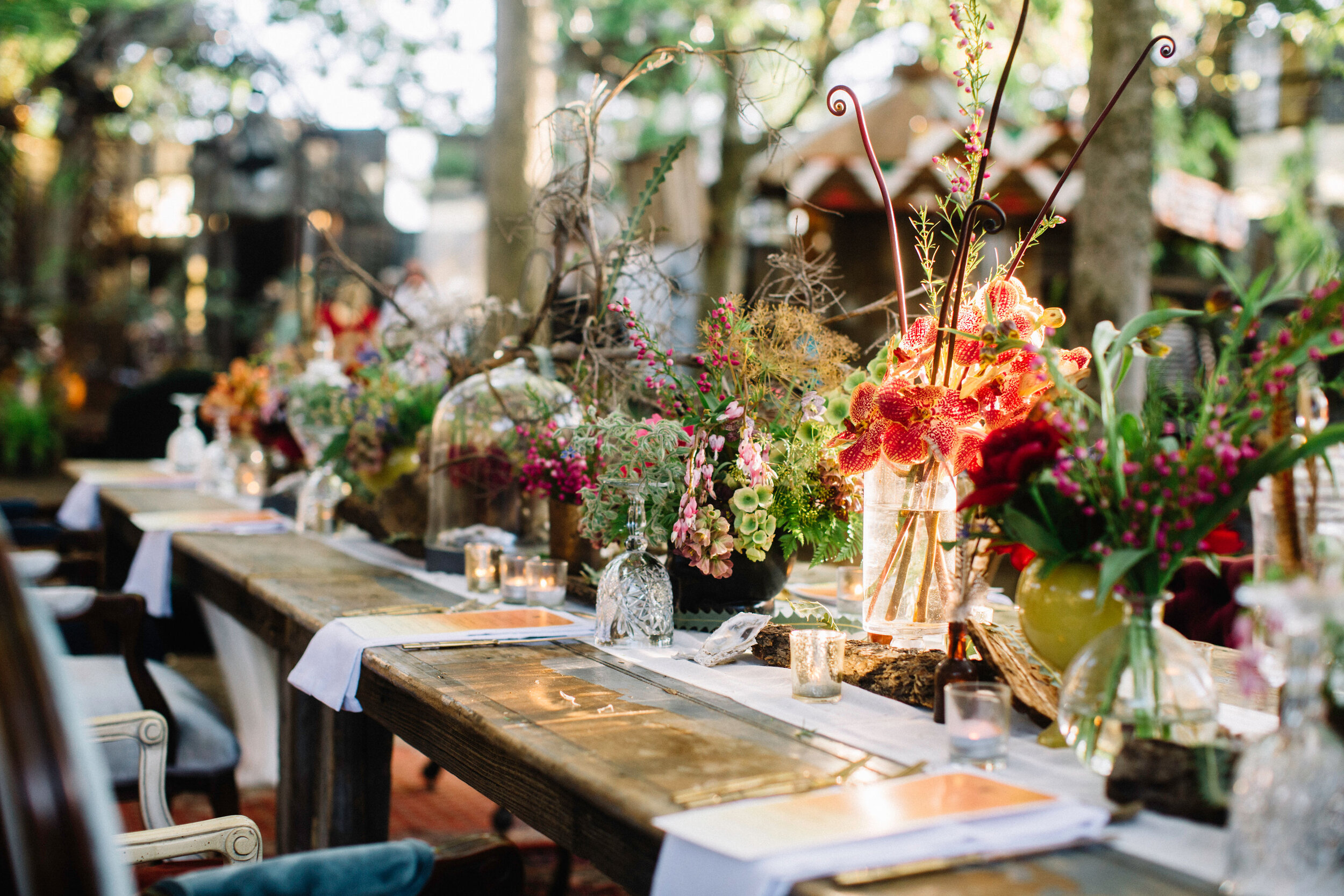 The magical dinner table spread