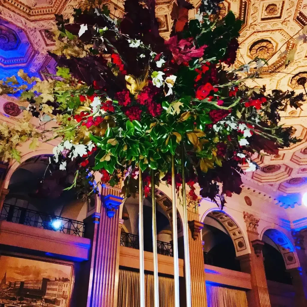 7 years after katrina new orleans is overrun by wild dogs – wendi jonassen – the atlantic