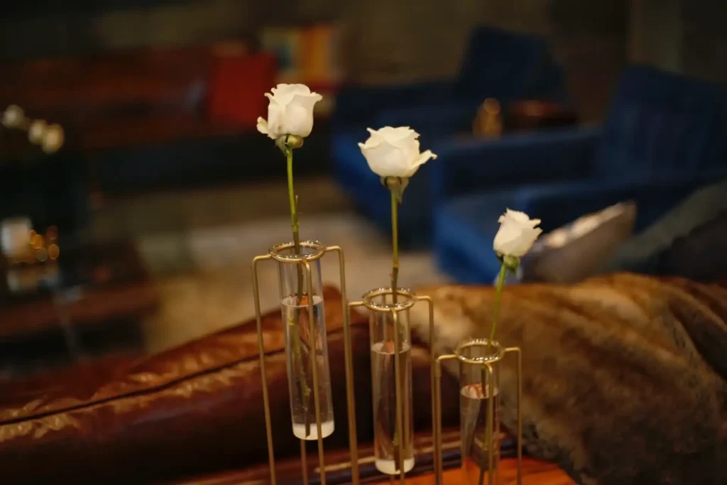 A quick voodoo fest 2012 review